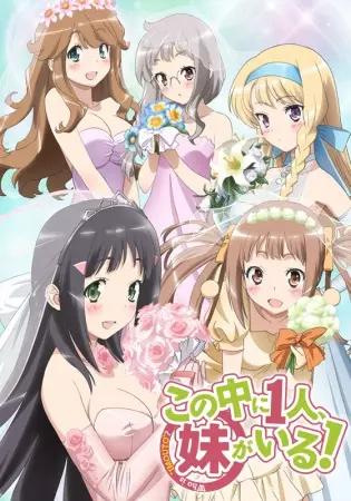 NAKAIMO - My Little Sister Is Among Them! Poster