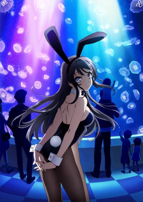 Rascal Does Not Dream of Bunny Girl Senpai Poster