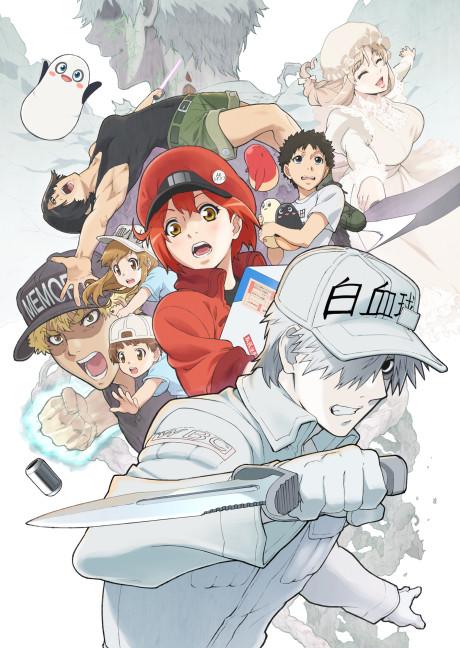 Cells at Work!! Poster