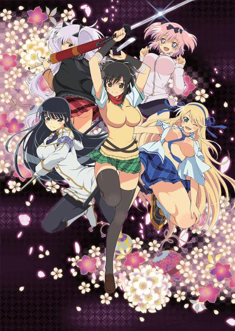 Senran Kagura: Ninja Flash! Poster