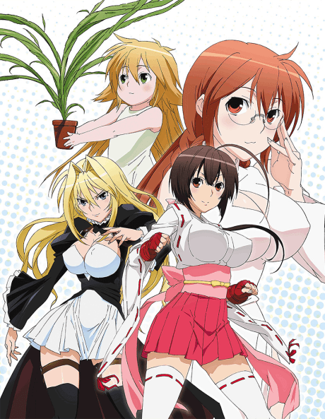 Sekirei Poster