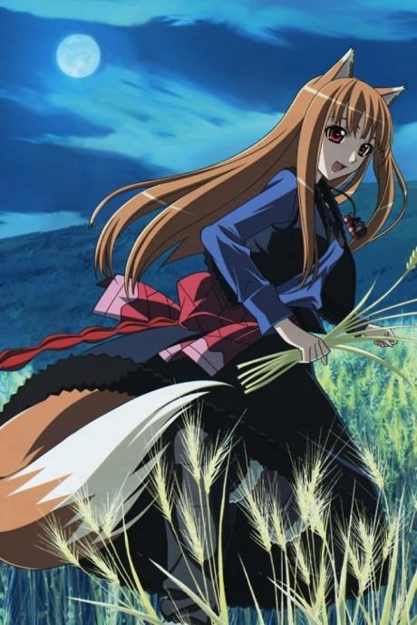 Spice and Wolf II: Wolf and the Amber Melancholy Poster